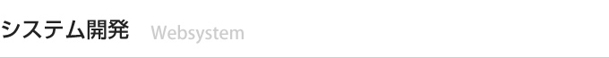 webシステム開発